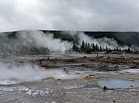 Yellowstone Norris Geyser (61).JPG